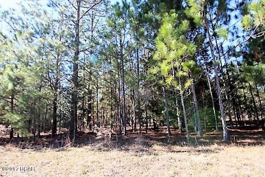 4 beautiful wooded acres of land on a paved road.  There is an old homesite on the property.  There is a well and septic tank but condition is unknown.

This is a perfect spot for a house or mobile home.  Drive by and have a look!