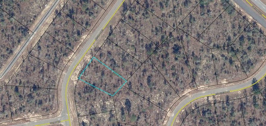 Paved road in Sunny Hills! 1/4 acre lot.  Sunny Hills offers a popular 18 hole public golf course, Boat Lake with a swimming beach, and other fishing and recreation lakes. Located just 35 miles from the Northwest Florida Beaches International airport and 45 minutes to the beautiful beaches of Panama City Beach.