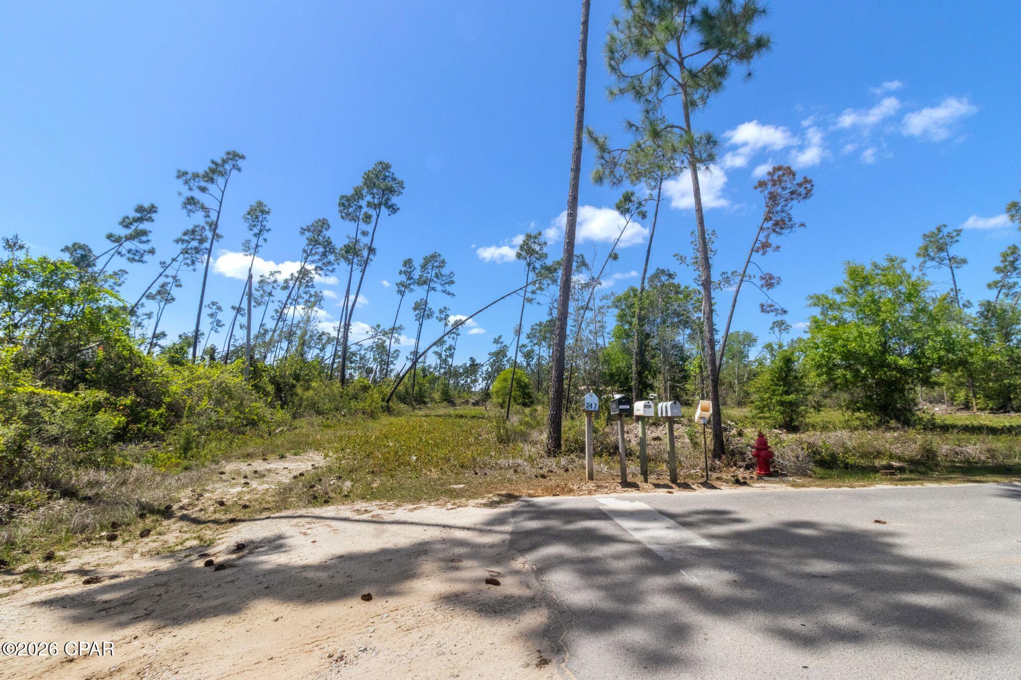 Sunshine Farms - Land