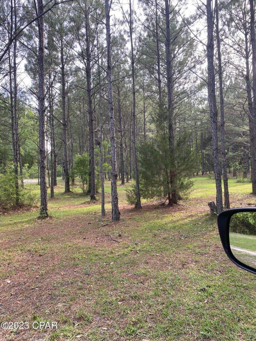Beautiful parcel of property.  Driving back through a maze of gorgeous trees you are greeted with a barn like studio.  30x24x0.  Small piece of Heaven!  Call today!!!!