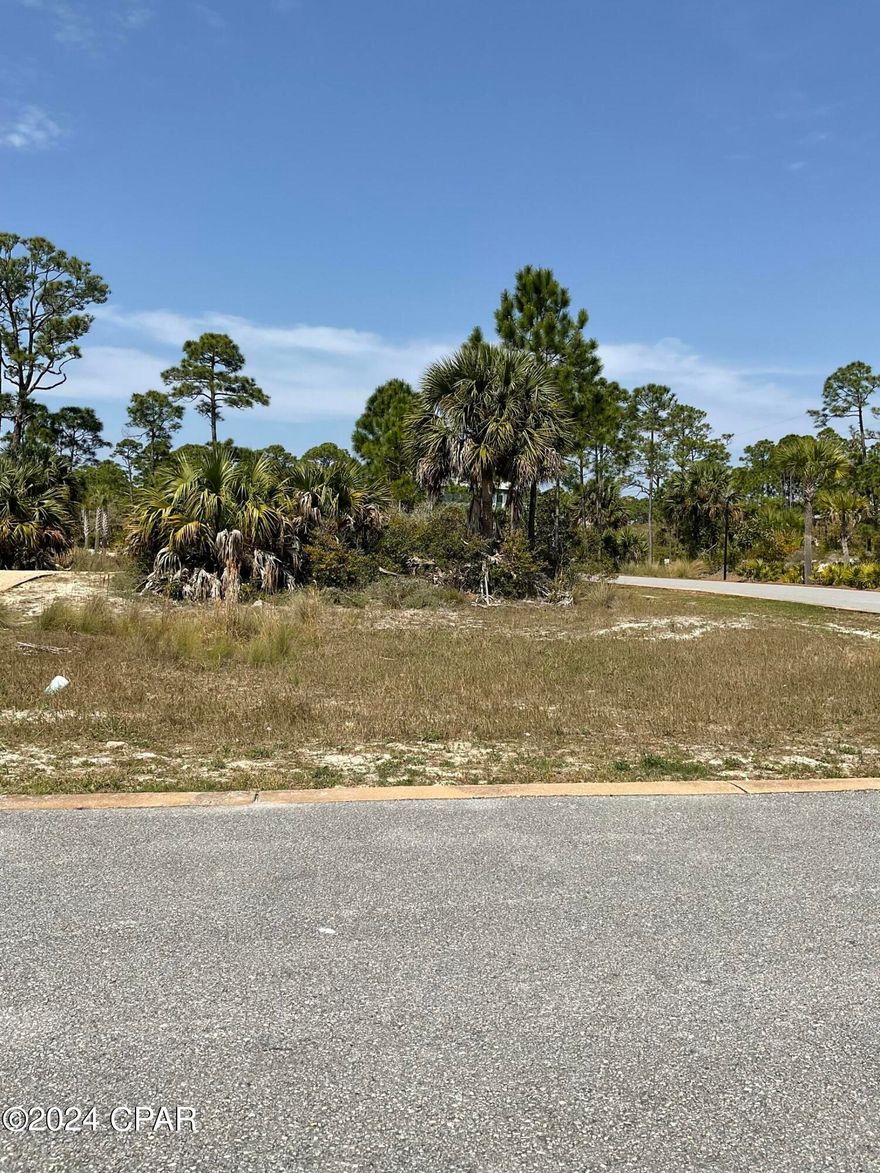 Beautiful building lot in the heart of the gated community of Jubilation. This beachside homesite is only steps away from the pool/ pool house and private/ dedicated boardwalk that accesses one of the most serene and non populated areas in the Cape San Blas area. Jubilation is subject to architectural standards, restrictive covenants, but no timeline to build. Jubilation is not only gated but is adjacent to undeveloped federal that has miles of gulf frontage. Very stable and long standing HOA and vacation rentals are permitted. this is a solid area with tremendous upside.