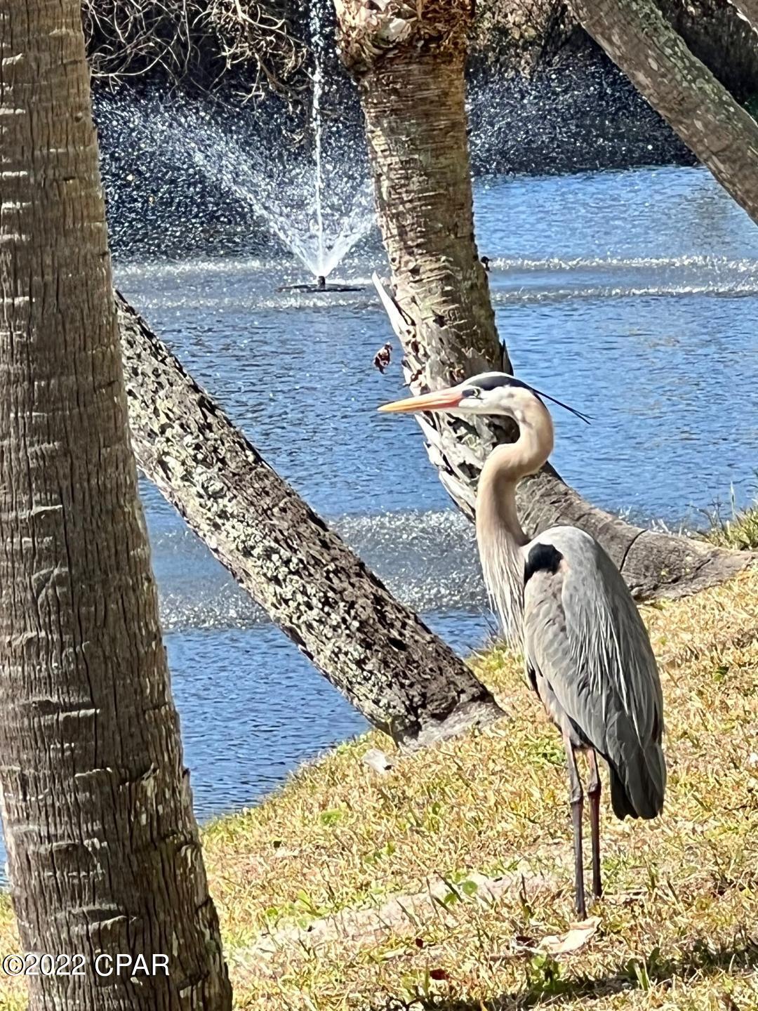 Horizon South XXI - Residential