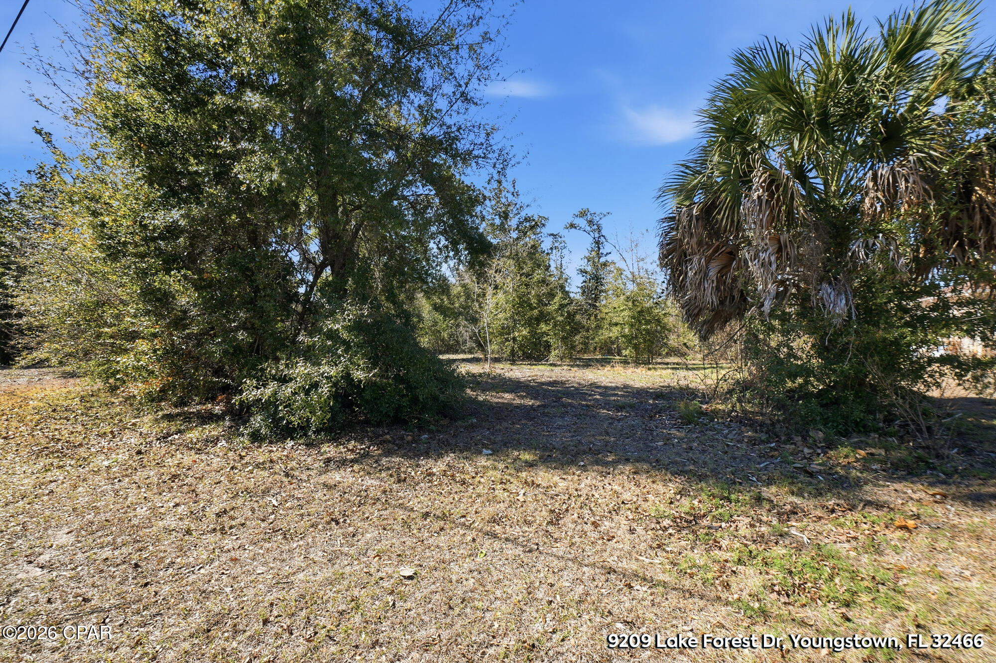 Lake Forest Estates - Land