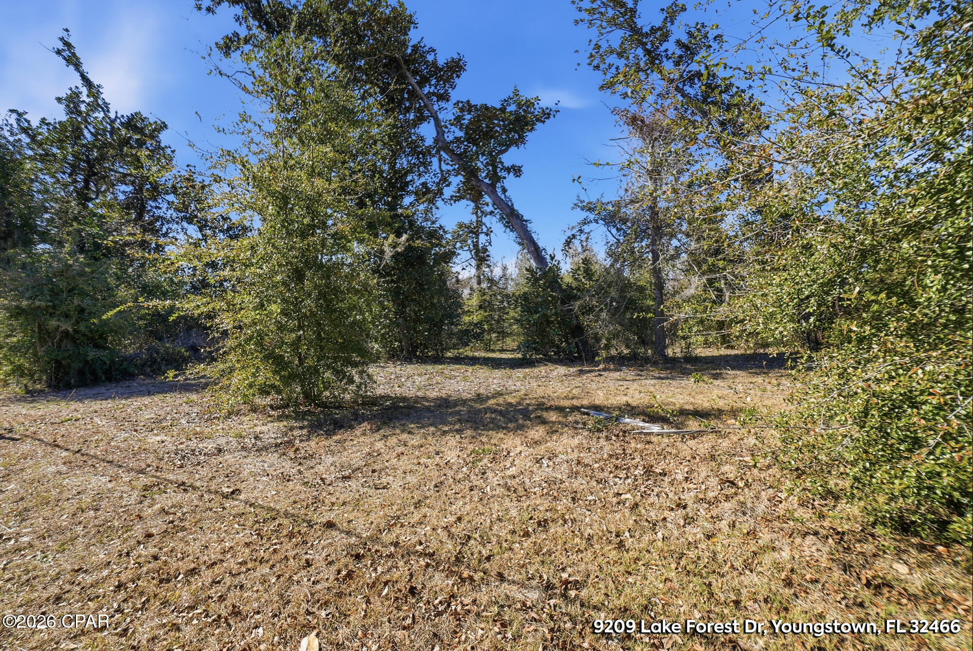 Lake Forest Estates - Land