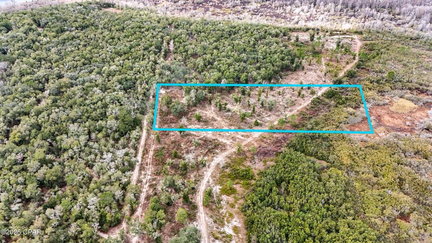 5 Acres of Land Near Hwy 77 - Freedom, Space, and Endless Potential!
Discover your own slice of Northwest Florida with this 5-acre property located just off Highway 77 on a peaceful dirt road. Whether you're looking to build a home, place a mobile or manufactured home, start a small homestead, or simply invest in land, this versatile parcel offers room to bring your plans to life.
With no HOA and plenty of space to spread out, you'll have the flexibility to use the land in a way that suits your lifestyle. The property features a mix of cleared areas and natural woods, providing privacy, shade, and a beautiful setting surrounded by local wildlife.
This location offers quiet rural living while still keeping you close to everything you need. Chipley, I-10, and everyday conveniences are just a short drive away, and the stunning beaches of Panama City are about 45 minutes south. Freshwater lakes, springs, and outdoor recreation areas are all nearby, making this a great spot for nature lovers and adventurers.
Opportunities like this are becoming harder to find. If you're looking for 5 acres in a growing area near Hwy 77, this property delivers space, value, and possibilities for the future. Go Check it out or call me today!

All measurements are estimated and to be confirmed through city, or appraisers website.