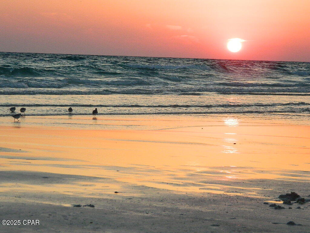 Palmetto Trace - Residential