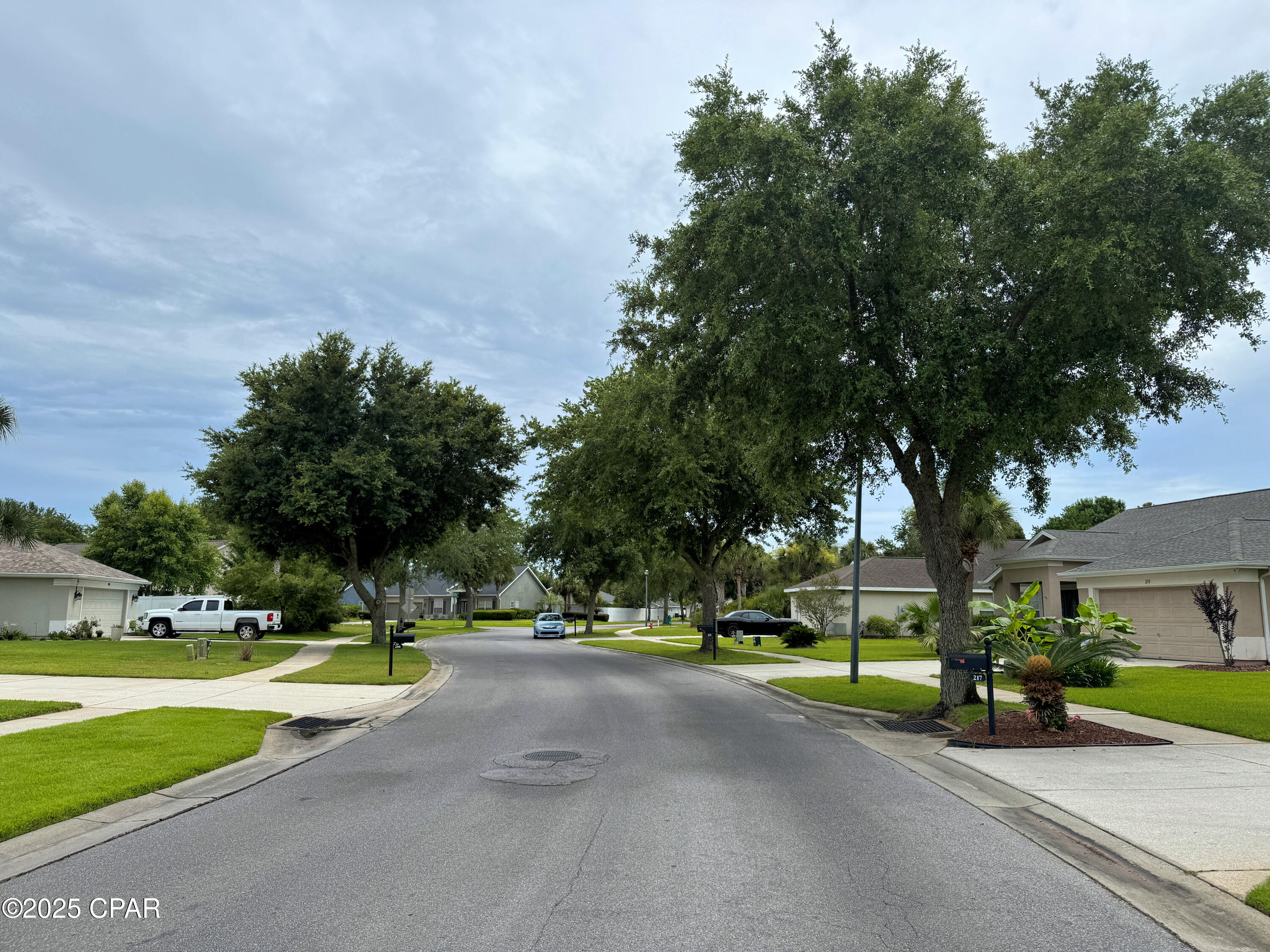 Palmetto Trace - Residential