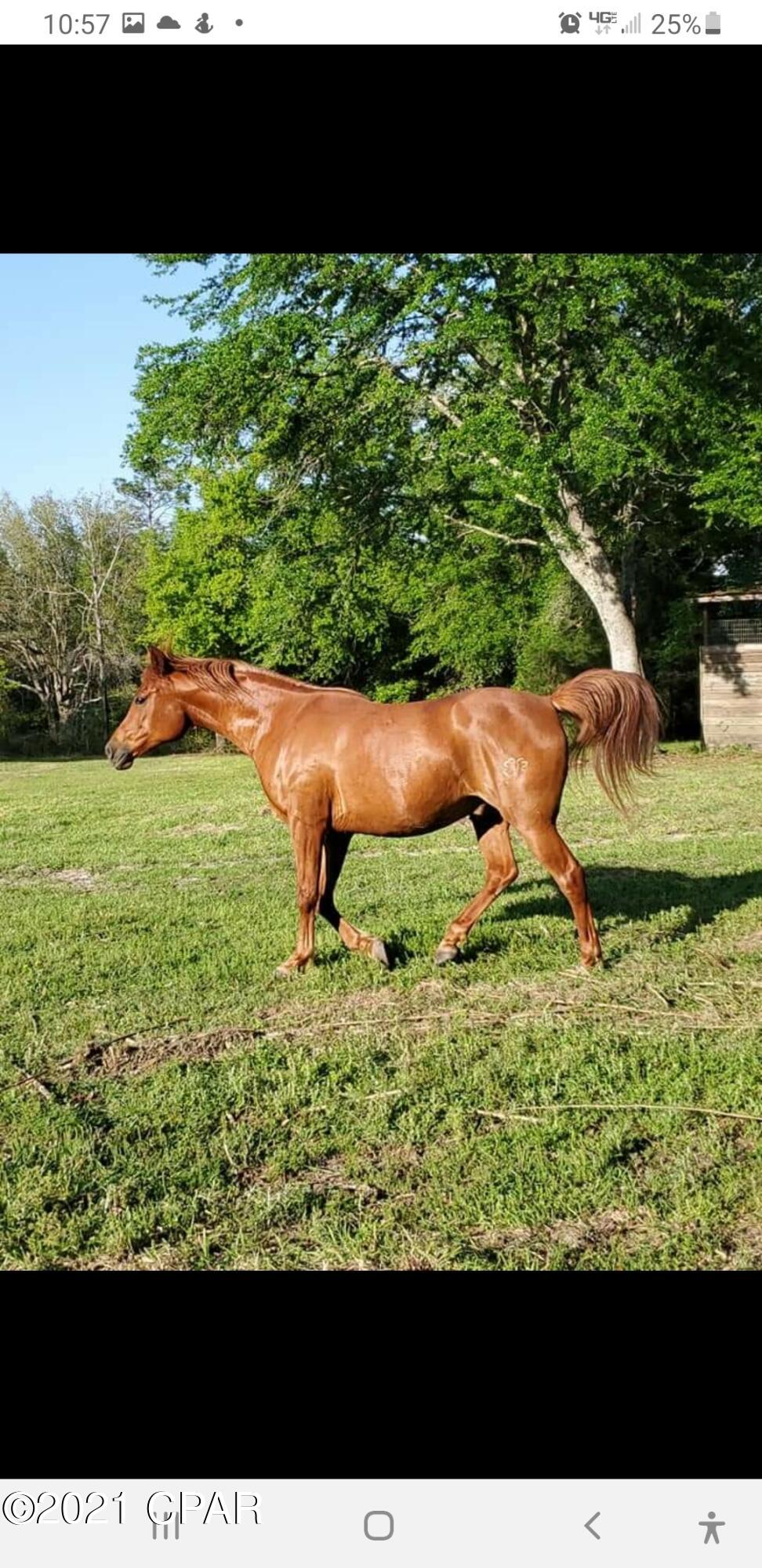 [No Recorded Subdiv] - Land