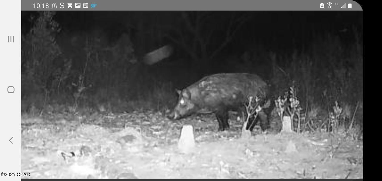 [No Recorded Subdiv] - Land