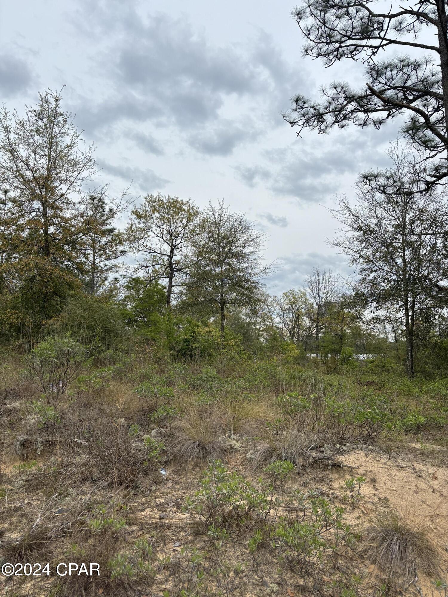 Payne Lakes Phase Two - Land