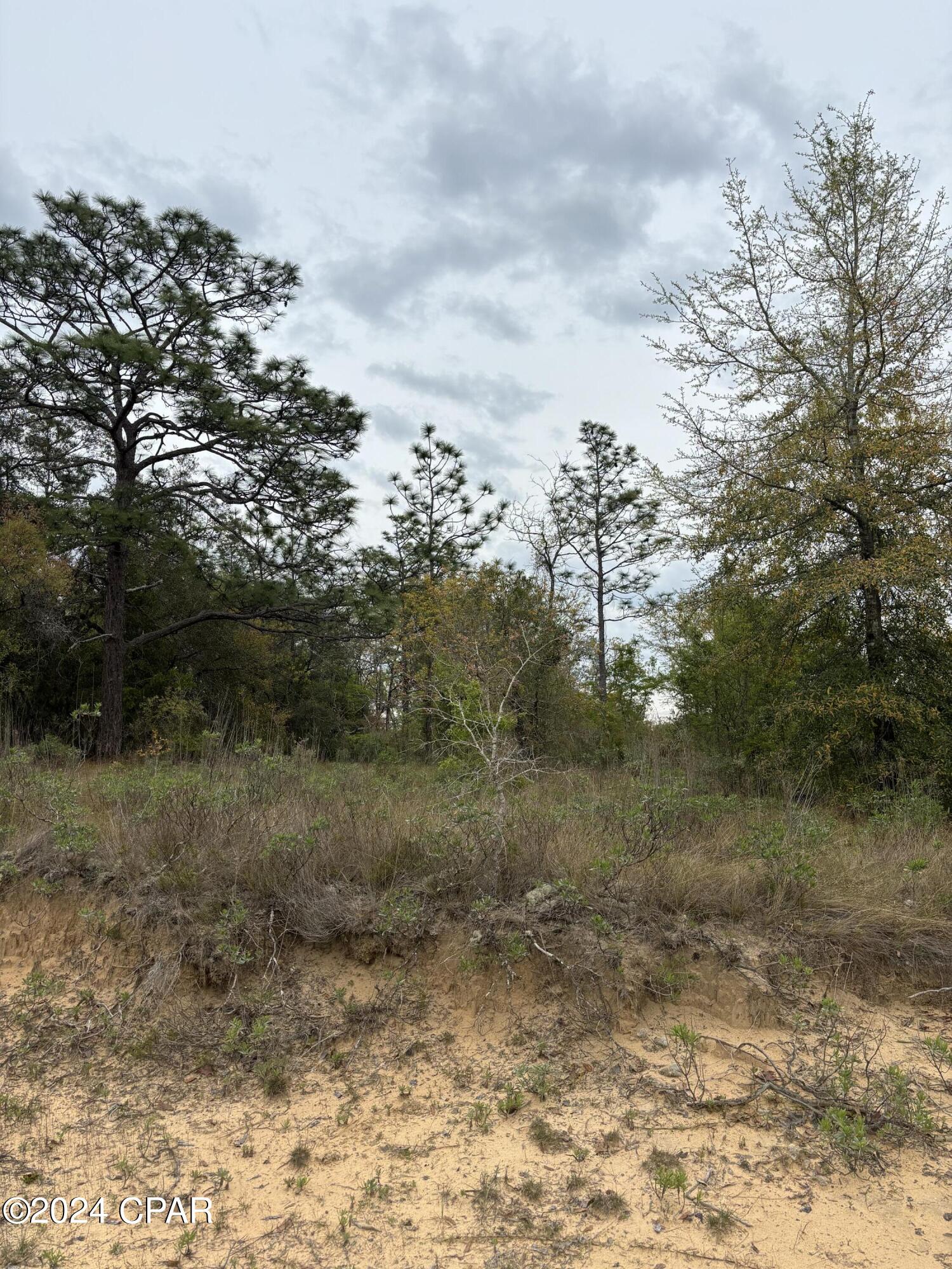 Payne Lakes Phase Two - Land