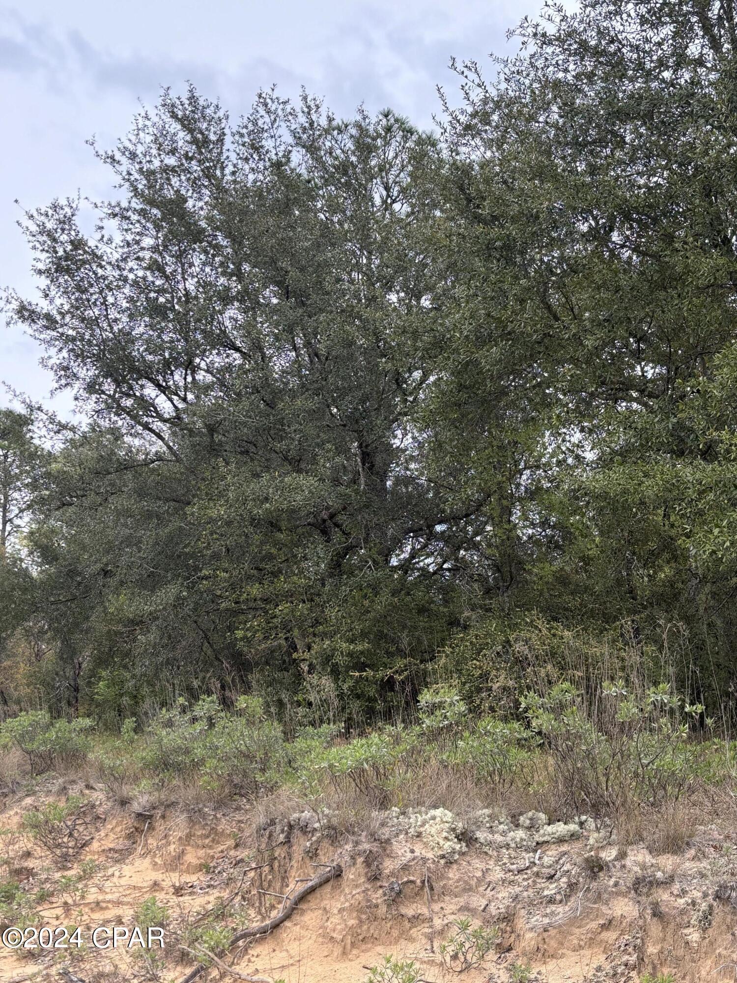 Payne Lakes Phase Two - Land