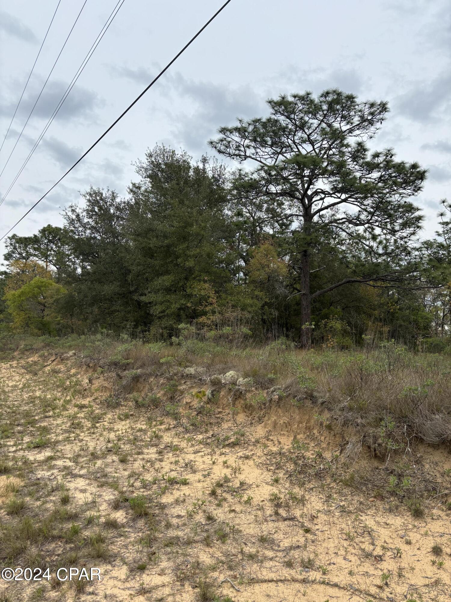 Payne Lakes Phase Two - Land