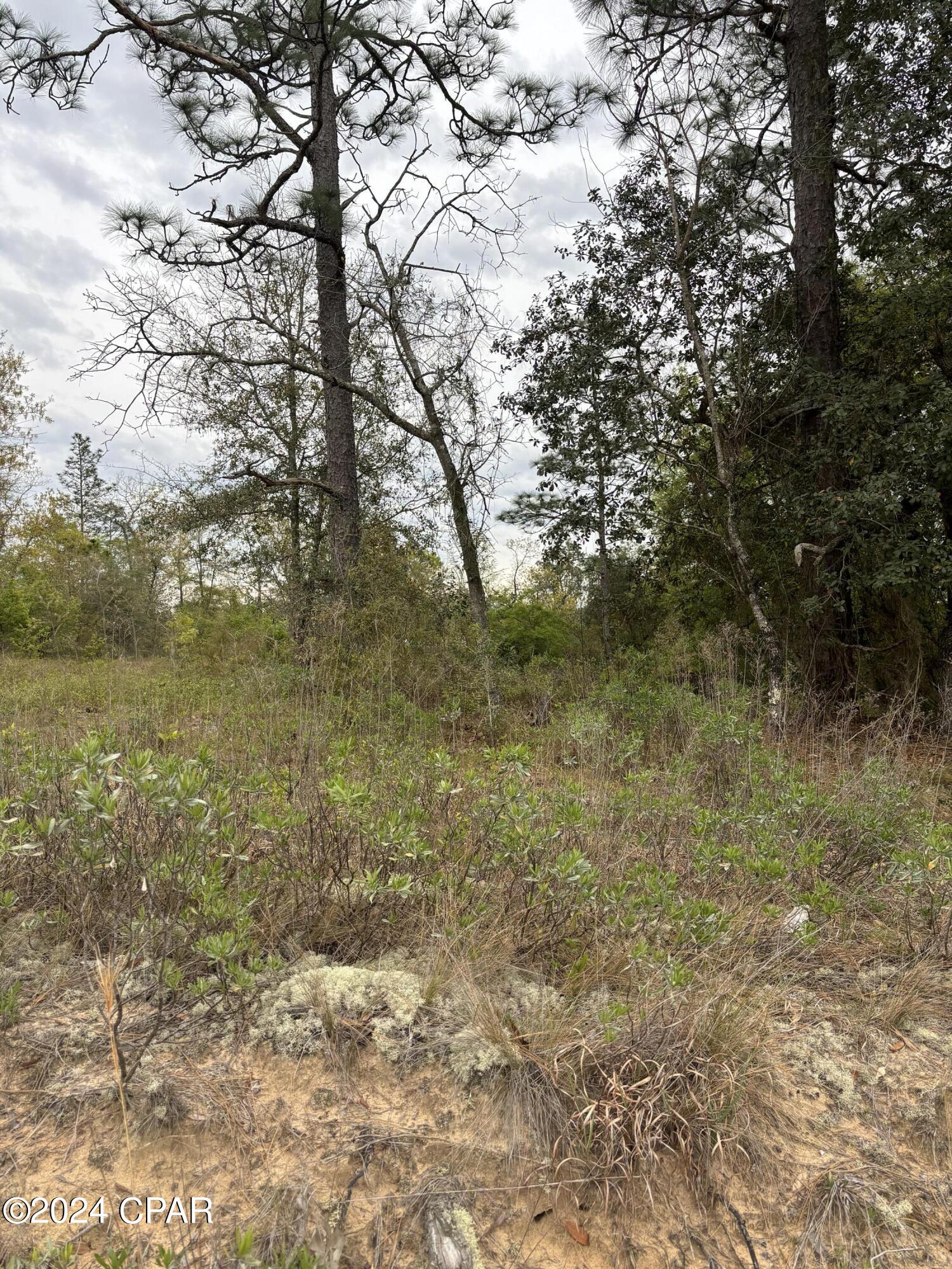 Payne Lakes Phase Two - Land