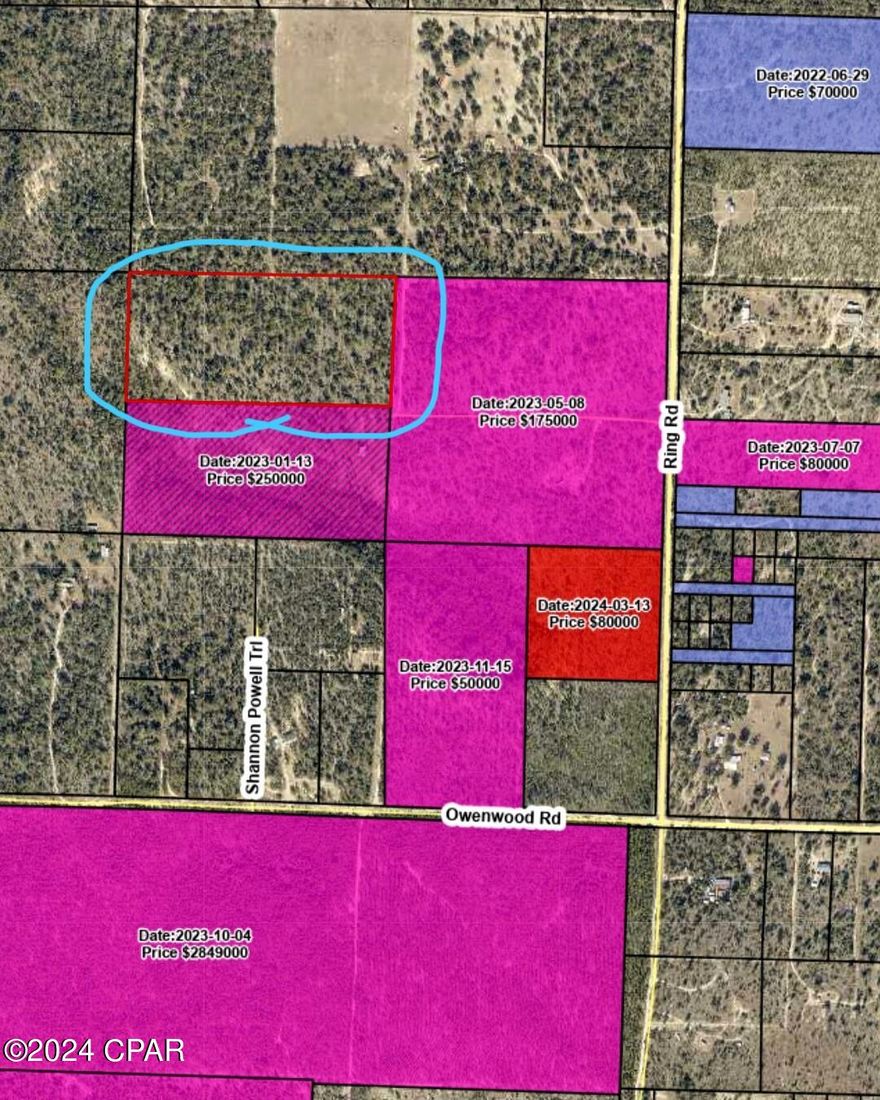 Great price for 20 acres in this spot.  Dry land.  Zone X, no flood zone.  Easy access. Call today.