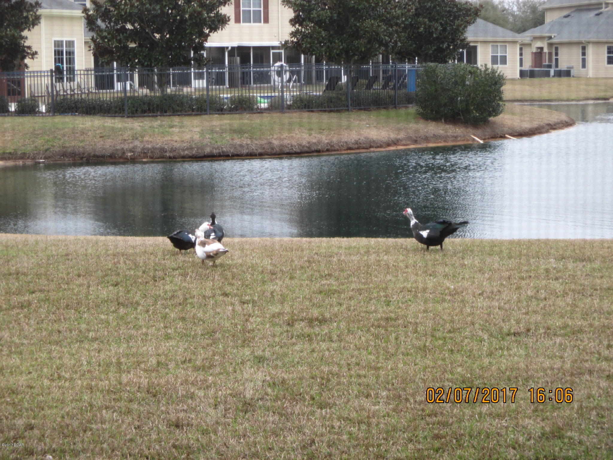 Baldwin Rowe - Residential Lease