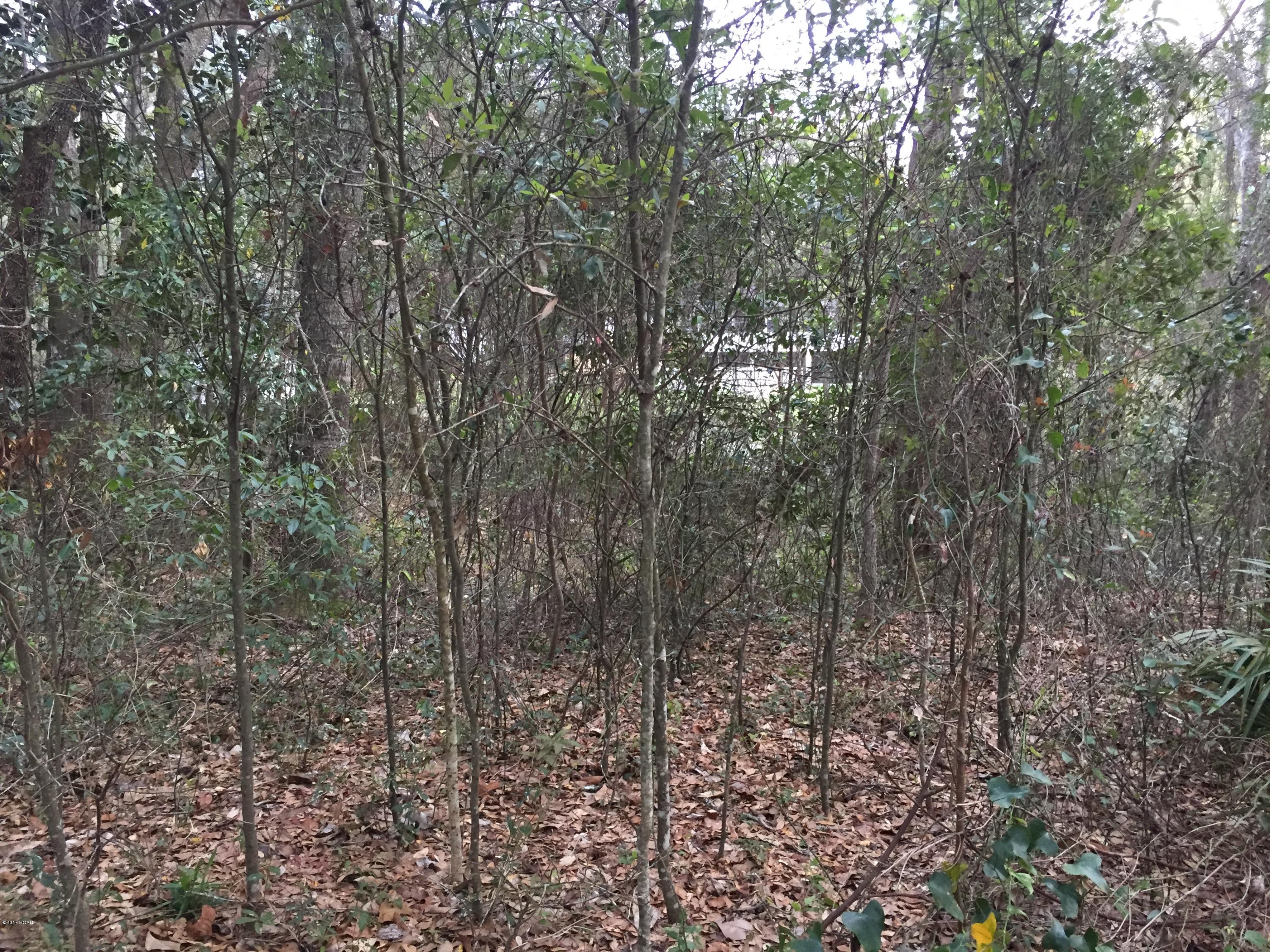 Deerpoint Estates - Land