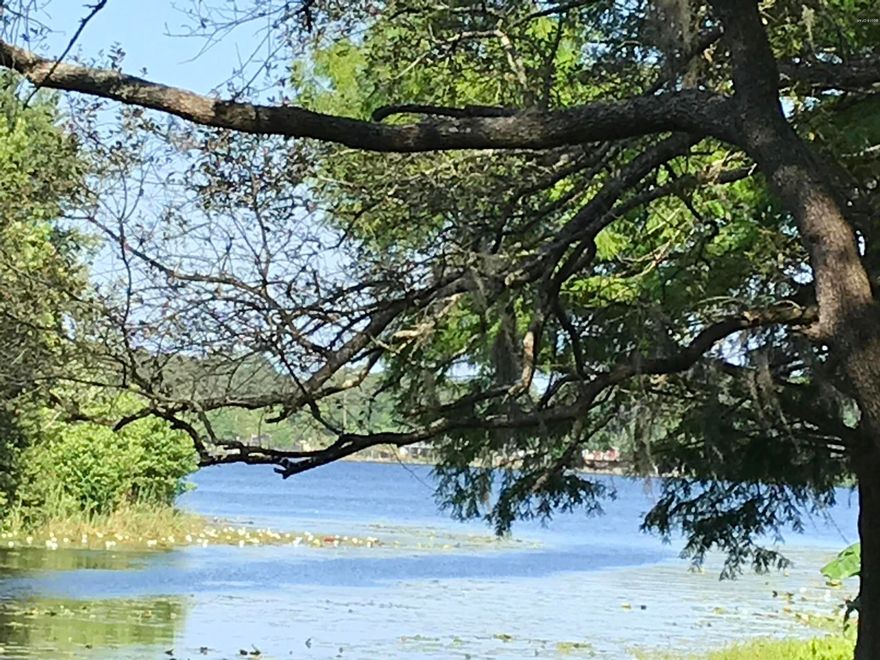 Wooded lot in Deerpoint Estates that has over 250 feet of lagoon front very close to Deerpoint Lake. Lake is visible from the property which would provide very nice views from a home. Build your dream home here and head out to fish or boat right from your backyard.
