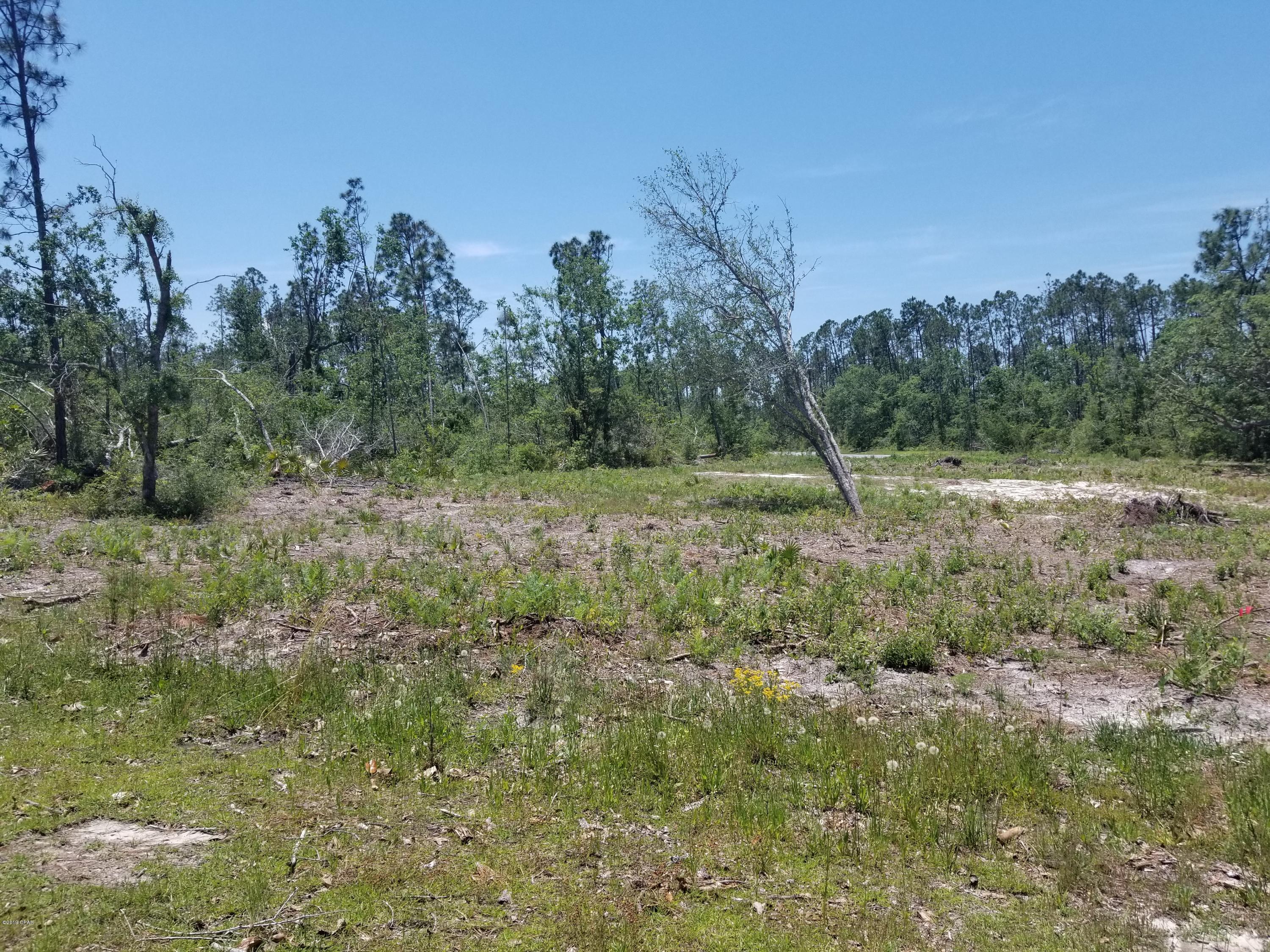 Cedar Creek Chase Ph 1 - Land