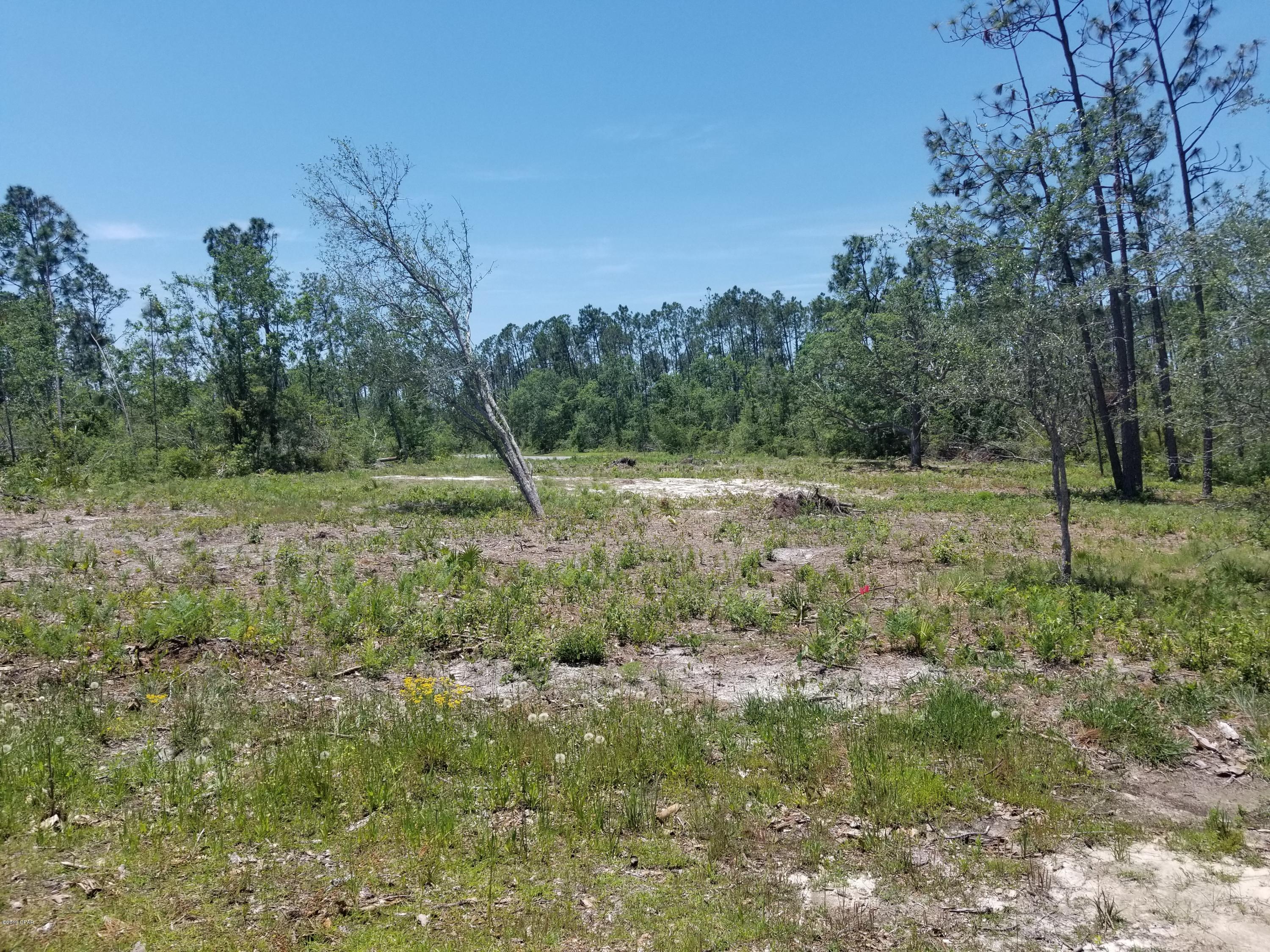 Cedar Creek Chase Ph 1 - Land