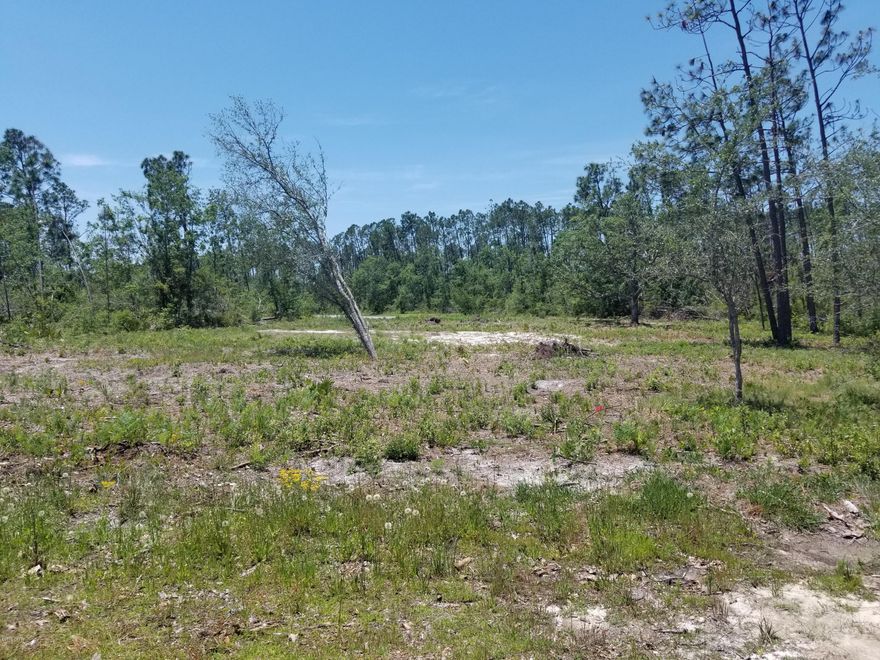 Large building lot that is cleared and ready to build your home on.  Covenants require all homes to be atleast 1800 sq ft with 80% brick.