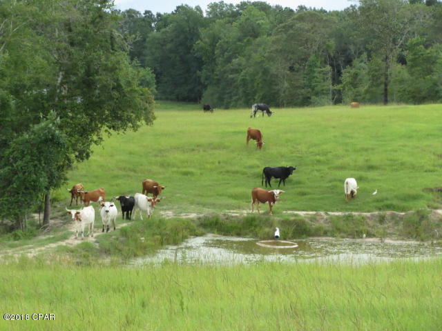 No Named Subdivision - Land