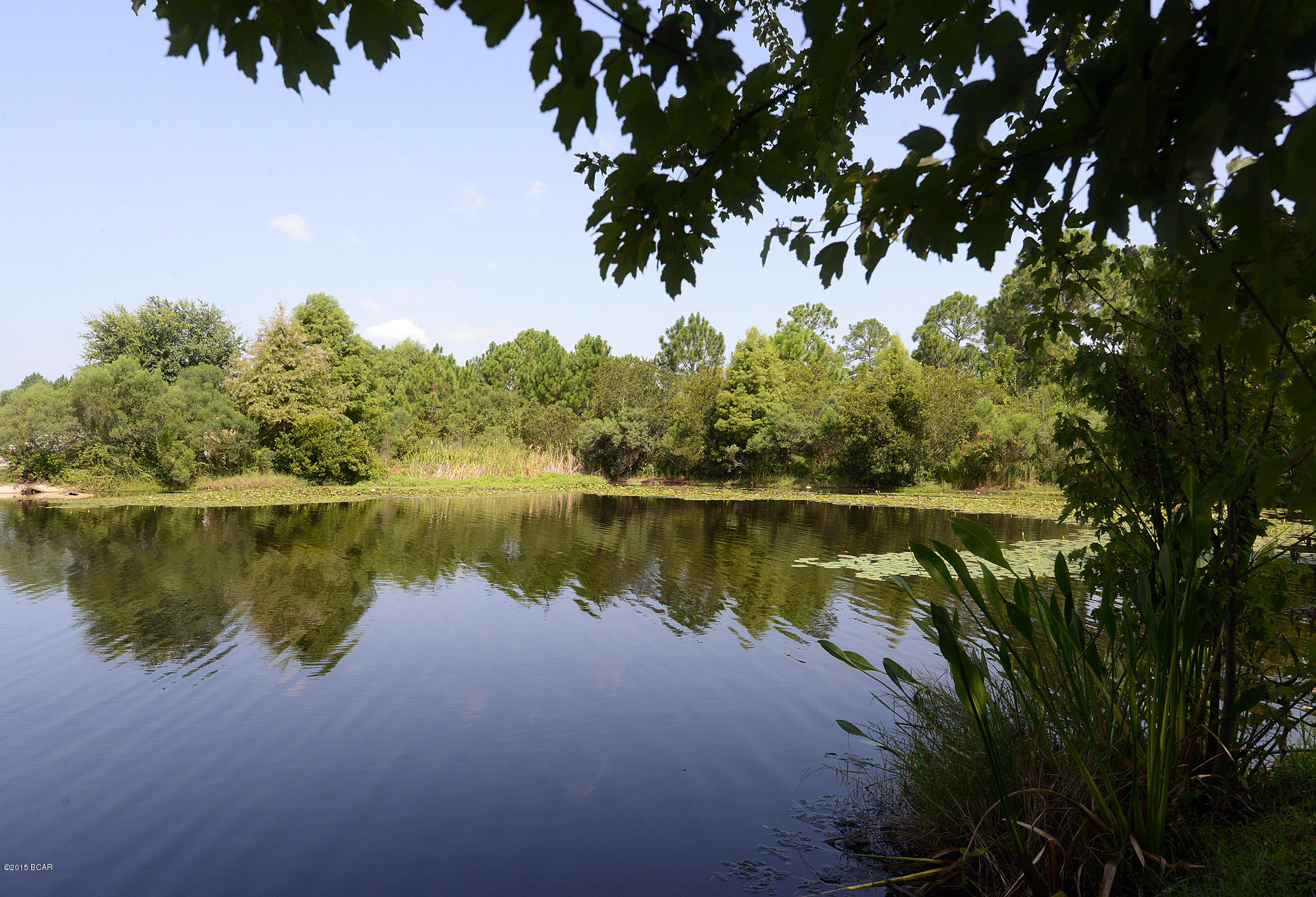 Harrison's Walk - Residential