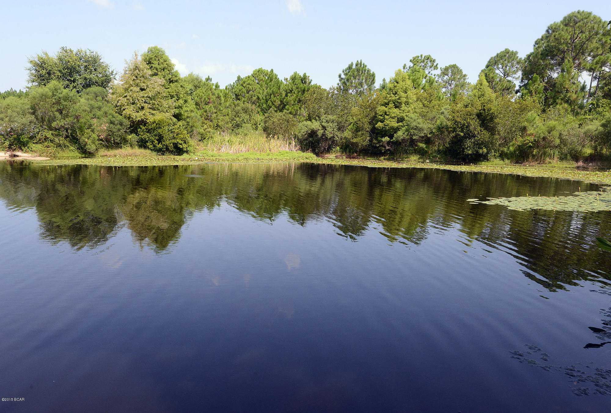 Harrison's Walk - Residential