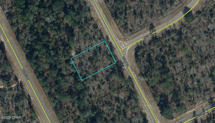 Building lot in Sunny Hills. Close proximity to the popular and affordable 18 hole public golf course. This community is experiencing a surge in growth in response to the growth moving north out of Panama City. There are several major builders offering new homes in the community. Popular and affordable 18 hole public golf course. Deed restricted community but no HOA. Adjoining lot 15 is also available. Buyer to pay title insurance, closing fee, and doc stamps on the deed.