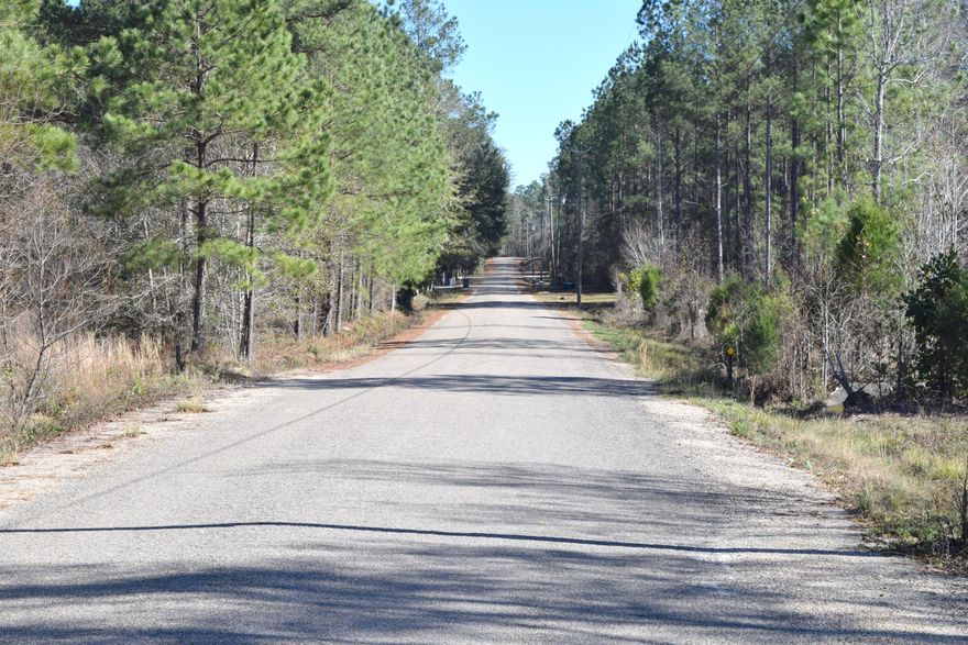LOCATION, LOCATION, LOCATION! THIS 2.56+/- ACRE CORNER LOT IS LOCATED OFF FALLING WATERS RD AND WOULD MAKE A GREAT HOMESITE FOR YOUR DREAM HOUSE. PROPERTY HAS BEEN RECENTLY CLEARED AND FEATURES A POND, LARGE PINES, CONVENIENT ACCESS TO FALLING WATERS WALKING TRACK, STATE PARK AND INTERSTATE 10.