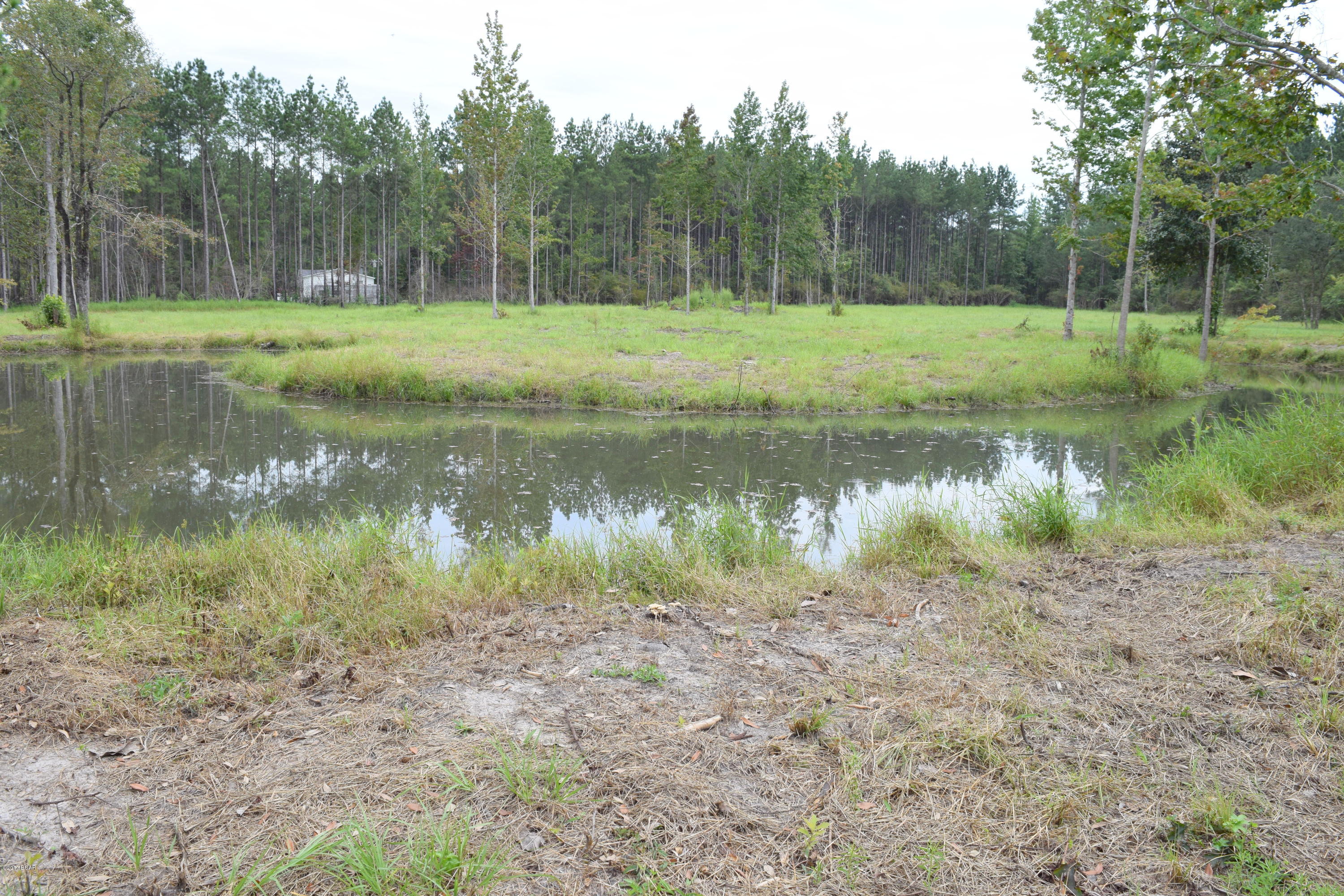 Mayhaw Estates - Land