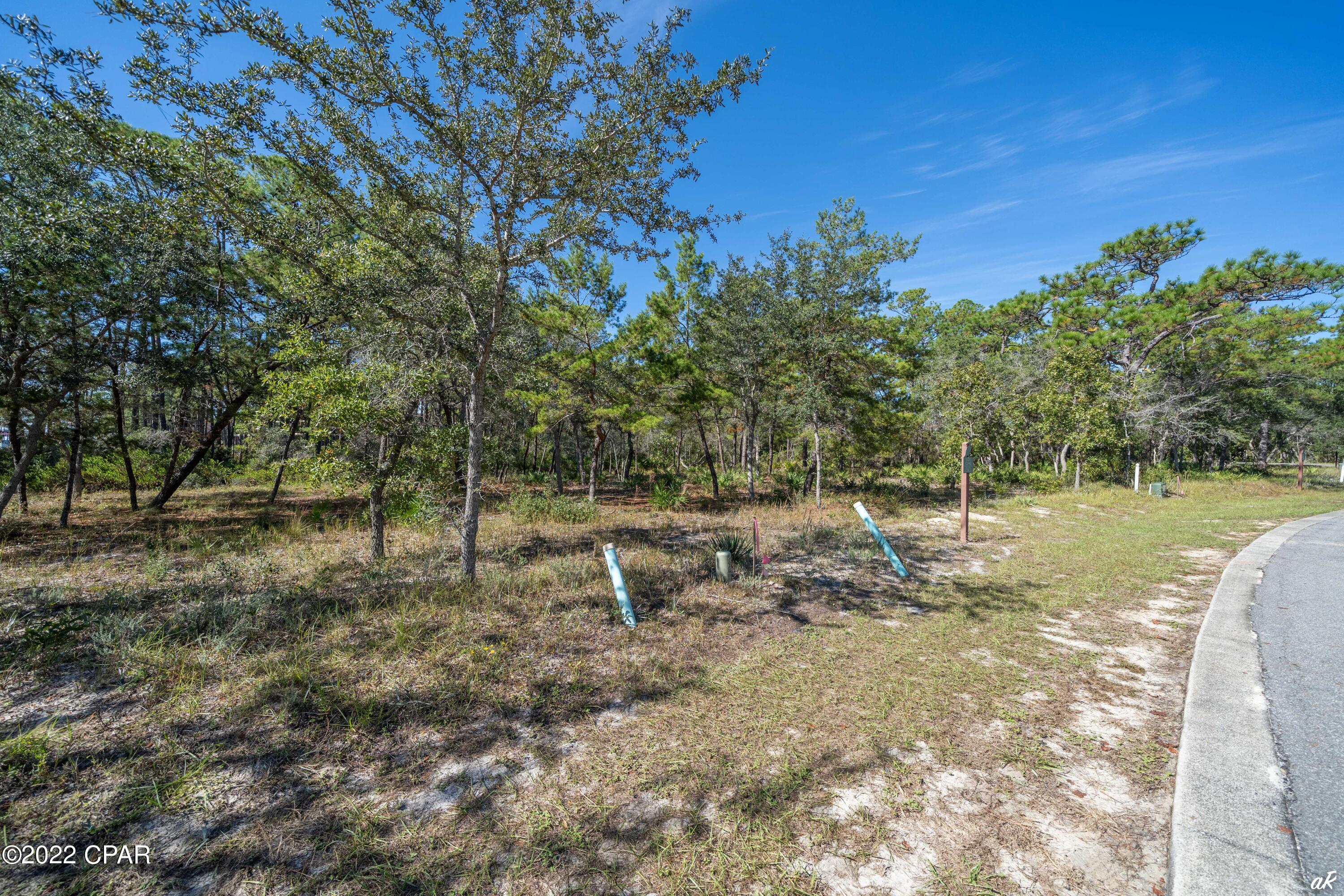 Wild Heron Phase II - Land