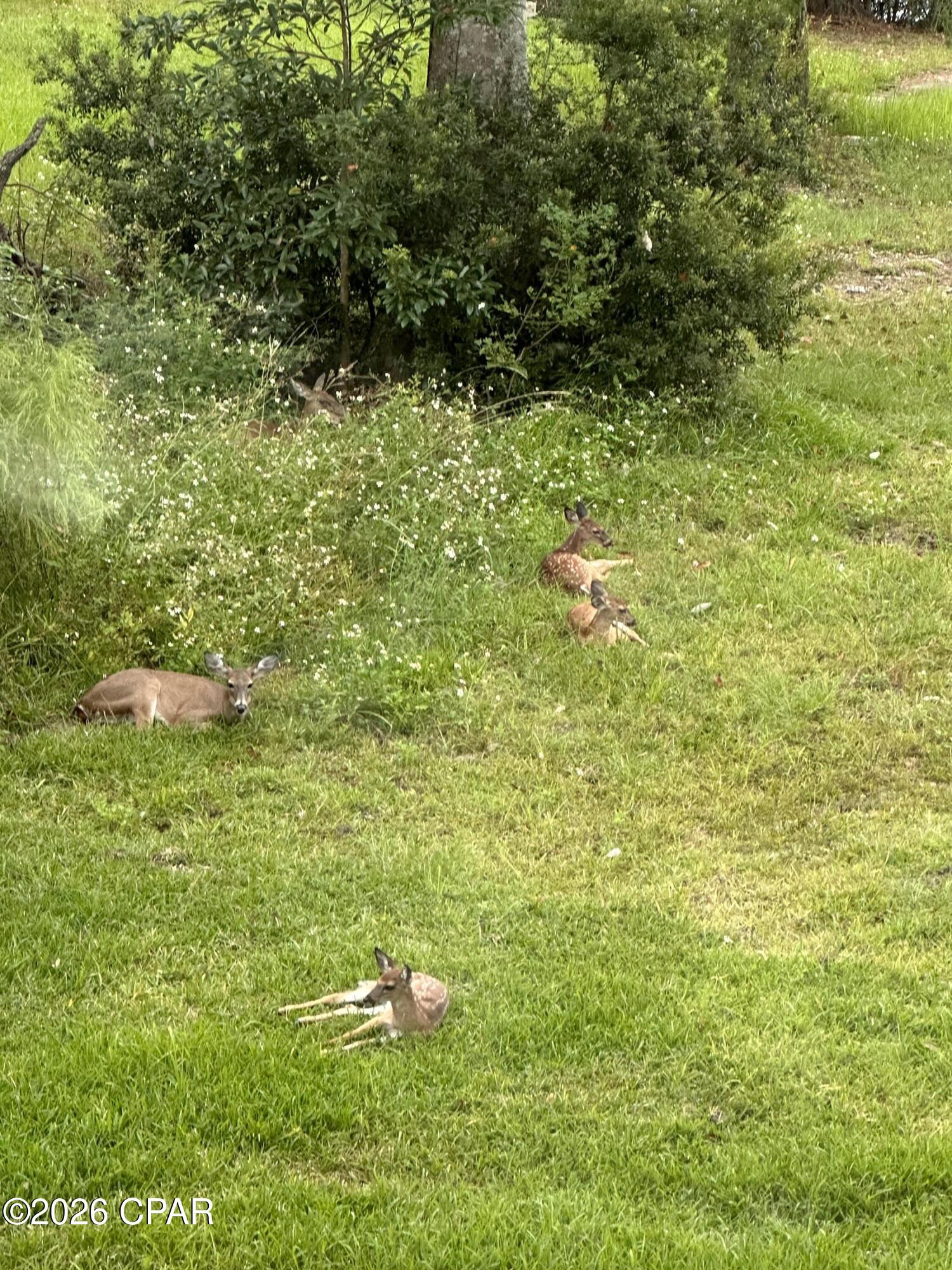 No Named Subdivision - Land