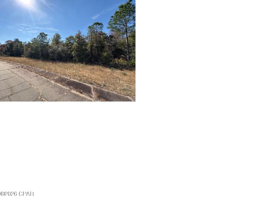 Attention INVESTORS... large .616 acre oversized lot! Don't miss this exceptional opportunity to own an huge 1/2 acre plus building lot in Unit 7 of Sunny Hills, located at Lot 38 on Coronado Drive. This big lot backs up to a large, wooded, 84 acre Deltona owned parcel. This property provides excellent rear privacy and a peaceful natural setting. Even better, Lot 37 next door is also available from the same seller at the same price, providing a rare opportunity to own side by side lots for added space, flexibility, or future development options. Do not delay, call today!