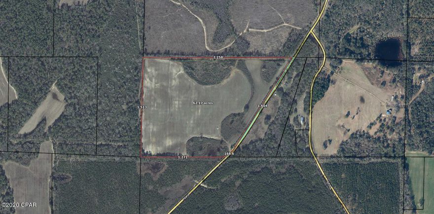 55+ acres of Farm/Hunting land!  Approximately 48 acres currently used for crops and pasture. Most of the property is currently planted with cotton and is leased until January 1, 2021 for agriculture. It is located within 15 minutes of Geneva, Al. This is perfect for a hunting lease, farming, or a secluded homesite. All measurements are approximate, verify if important.