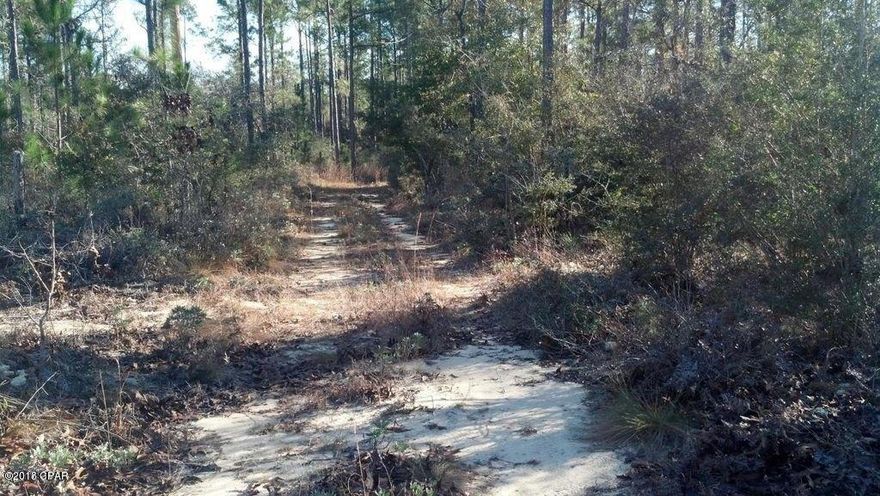 Possible Owner financing! Welcome to the country! Come check out this peaceful location where serenity and nature abounds. Great property for your new home site or a weekend retreat! Tumble Creek meanders along the rear of the land. Property has a power pole, well and septic system per owner.