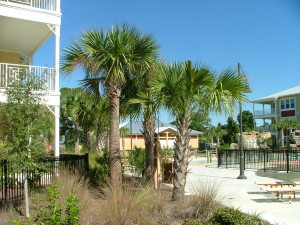 Island Reserve - Residential