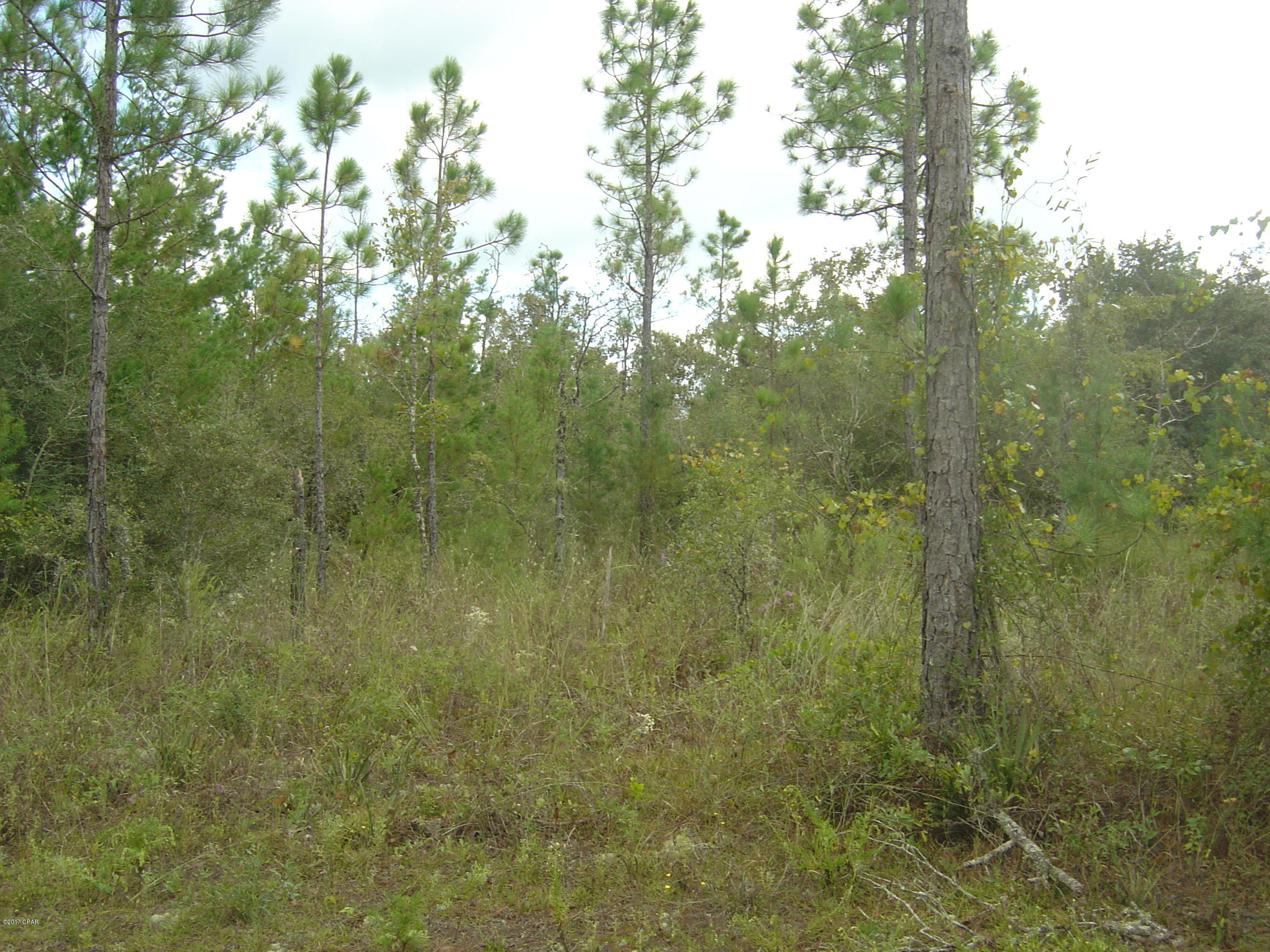 Compass Lake Hills Unit 5 - Land