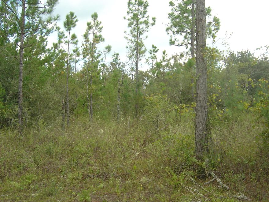 Good level lot in an excellent area of Compass Lake in the Hills with all the amenities of CLH including access to two large lakes, beach area, swimming pool and tennis courts.