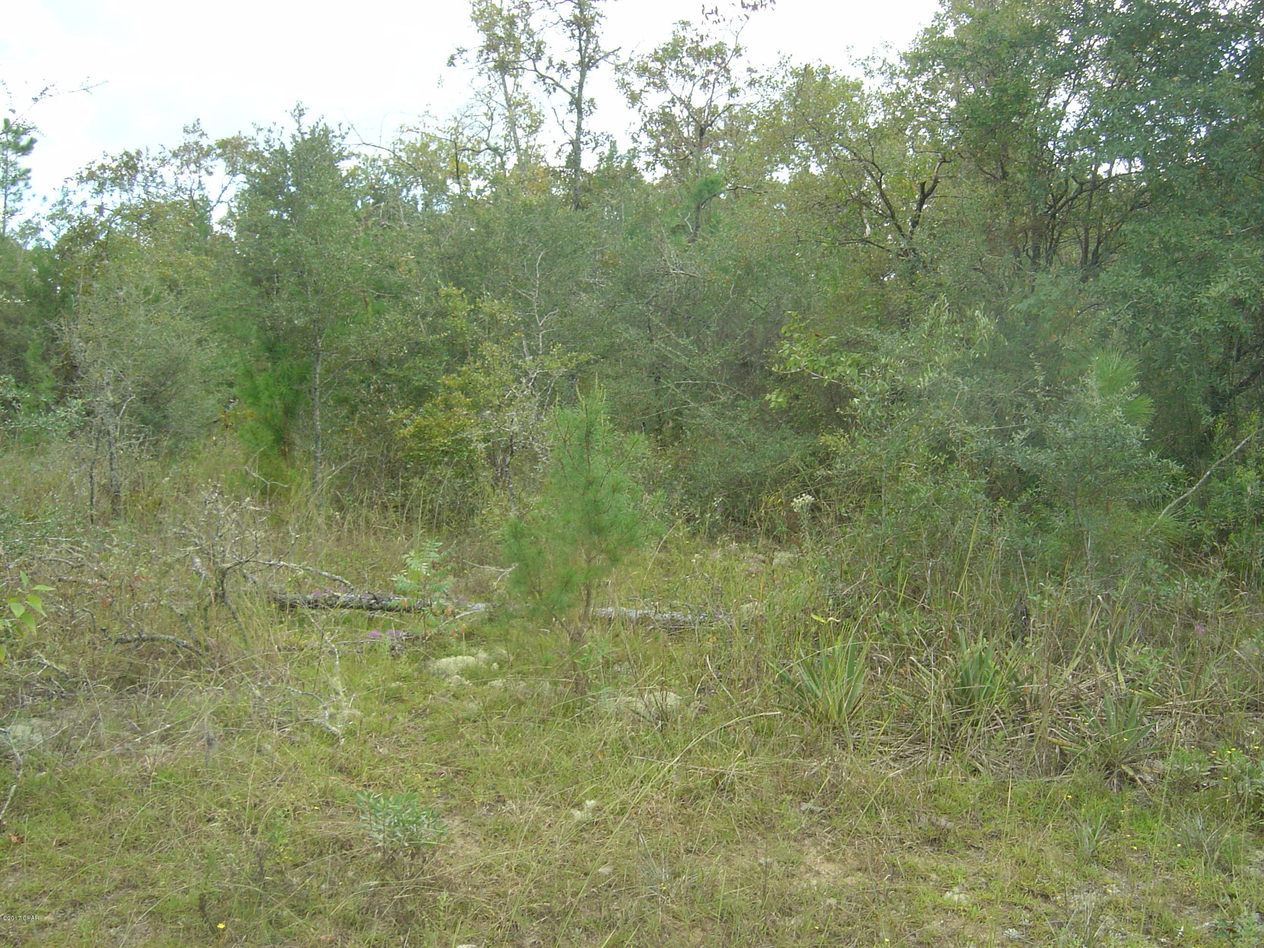 Compass Lake Hills Unit 5 - Land