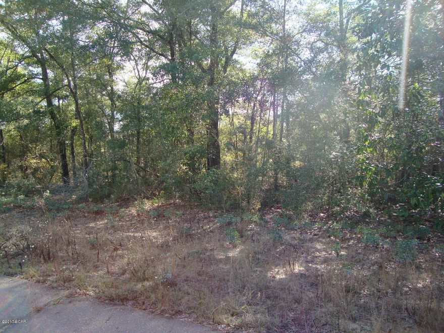 Large building lot located in Sunny Hills.Enjoy the country life in an area that offers a great golf course, lakes for fishing and swimming. Easy drive to the Beaches and shopping. Great price.