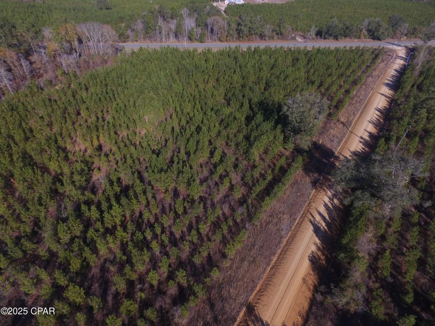 Check out this beautiful wooded four acre lot located with road frontage on Peanut Road a Justice Road .  It has young planted pines and is ready for you to build your dream home.  Seller has a current survey.  Proposed Deed Restrictions.  No manufactured homes allowed. Lot 1 will be lessed out of the parent parcel.