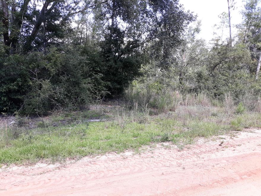 High and dry lot located in the middle of block. Has very nice trees including oaks. Lot has 1.13 acre's.