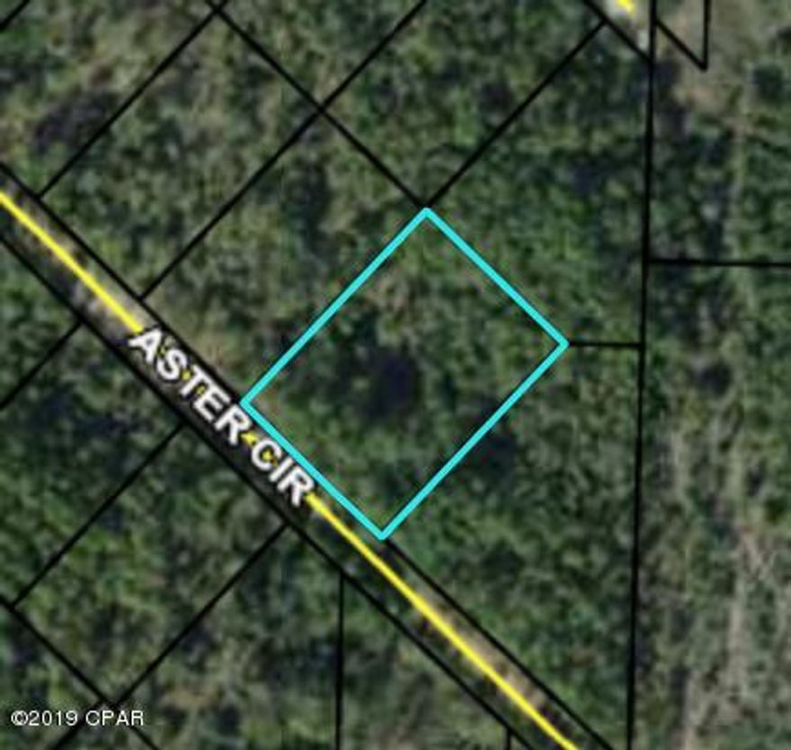 Wooded Residential Lot, over 1.5 Acre in the Compass Lake in the Hills development in NorthWest Florida. Conveniently located just about 20 minutes South of Interstate 10 at Marianna, and about 40 minutes North of Panama City for Shopping, Restaurants, Entertainment, and Beautiful Gulf Beaches. This lot is in a fairly remote area offering considerable Privacy. As an owner in this development, you have access to Private McCormick Lake for Fishing, Swimming, Canoeing, Kayaking, etc, as well as the Main Lodge over on Compass Lake with Swimming Pool, Tennis Courts, Horseback Riding, etc. Come enjoy the Quiet, Peaceful Lifestyle of Compass Lake in the Hills.