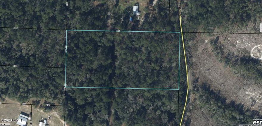 Embrace Nature's Canvas! 
Unveil 5 Pristine Acres in Vernon, Florida!
Off Route 79 - Your Gateway to Serenity.
Own a Slice of Paradise:
5 acres of untamed beauty, yours to shape and create.
Access to Holmes Creek for paddle adventures.
Short journey to enchanting Cypress Springs.
Highlights:
Ideal for your dream retreat or cabin or mobile home!
Explore, fish, and unwind by the water's edge.
Zoned for residential use.
Convenience meets tranquility - near amenities.
Act Now!
Grab this chance to own your nature haven.
Budget-friendly opportunity.
JACKSON COMMUNITY RD VERNON, FL 32462
Craft your story - 5 acres of Florida's beauty await you!