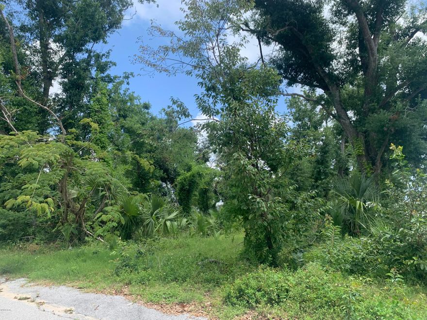 This residential lot is just steps from the water and offers a water view. Located near Beach Dr. Take a short stroll to the St. Andrews Bay and downtown historic St. Andrews for local shopping, restaurants, breweries, coffee shops, parks, and more! There is also a brand new park being built near by. Also located near schools and the public library. This is the perfect location to build the home of your dreams!