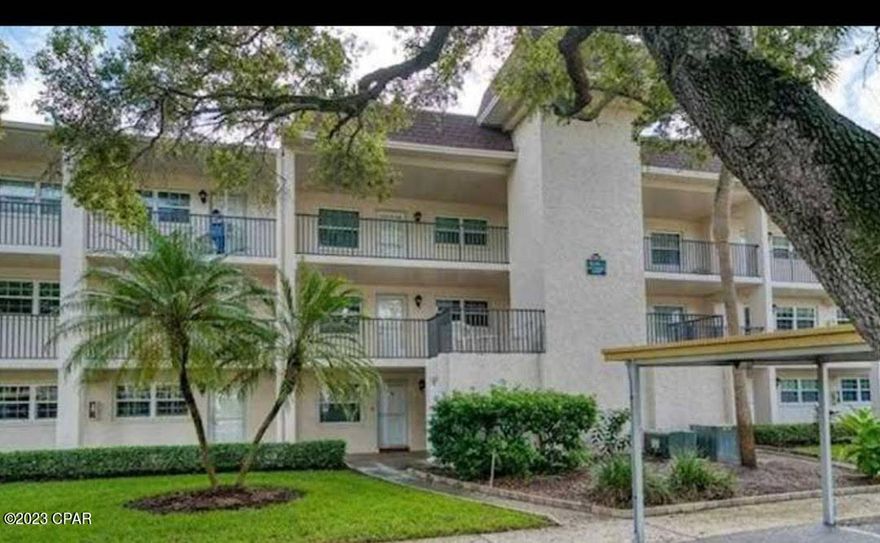Spacious condo in Patrician Oaks! This super clean & Furnished 1 bed/1 bath has an oversized ''stoop'' area & conveniently located to elevator! Wide open layout from dining to living, & straight onto screen porch overlooking beautiful trees & newly remodeled pool/hot tub. Speaking of hot tub...this has to be one of the largest in the area. Plus large pool and community room with bathrooms. Downtown Dunedin is only a few blocks away where you can enjoy the waterfront, Pinellas Trail, local restaurants, micro breweries, tons of festivals, & Spring Training home for the Toronto Blue Jays! Includes covered parking spot. 55+ community is perfectly nestled between Clearwater & Palm Harbor, and short drive to the Sponge Docks in Tarpon Springs. Buyer to verify all information.