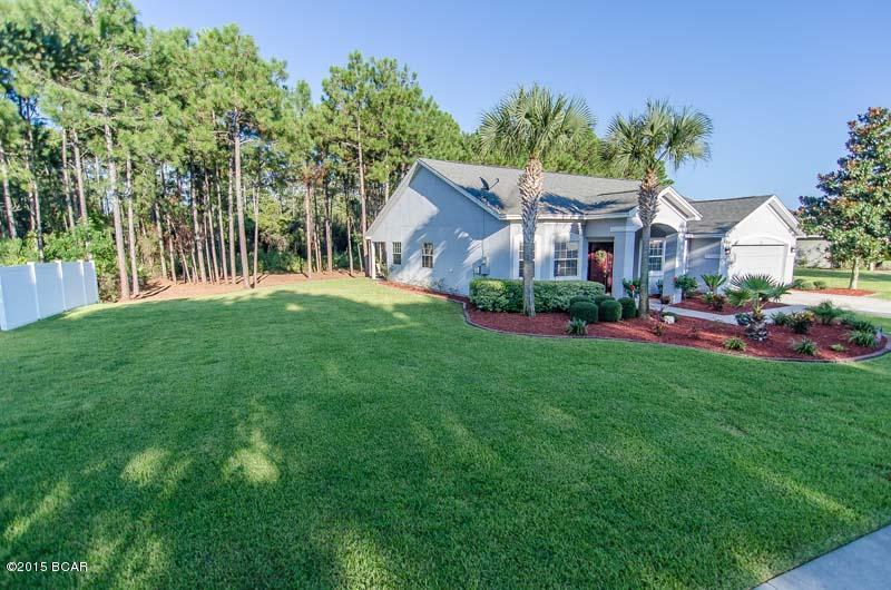 Palmetto Trace Phase III - Residential