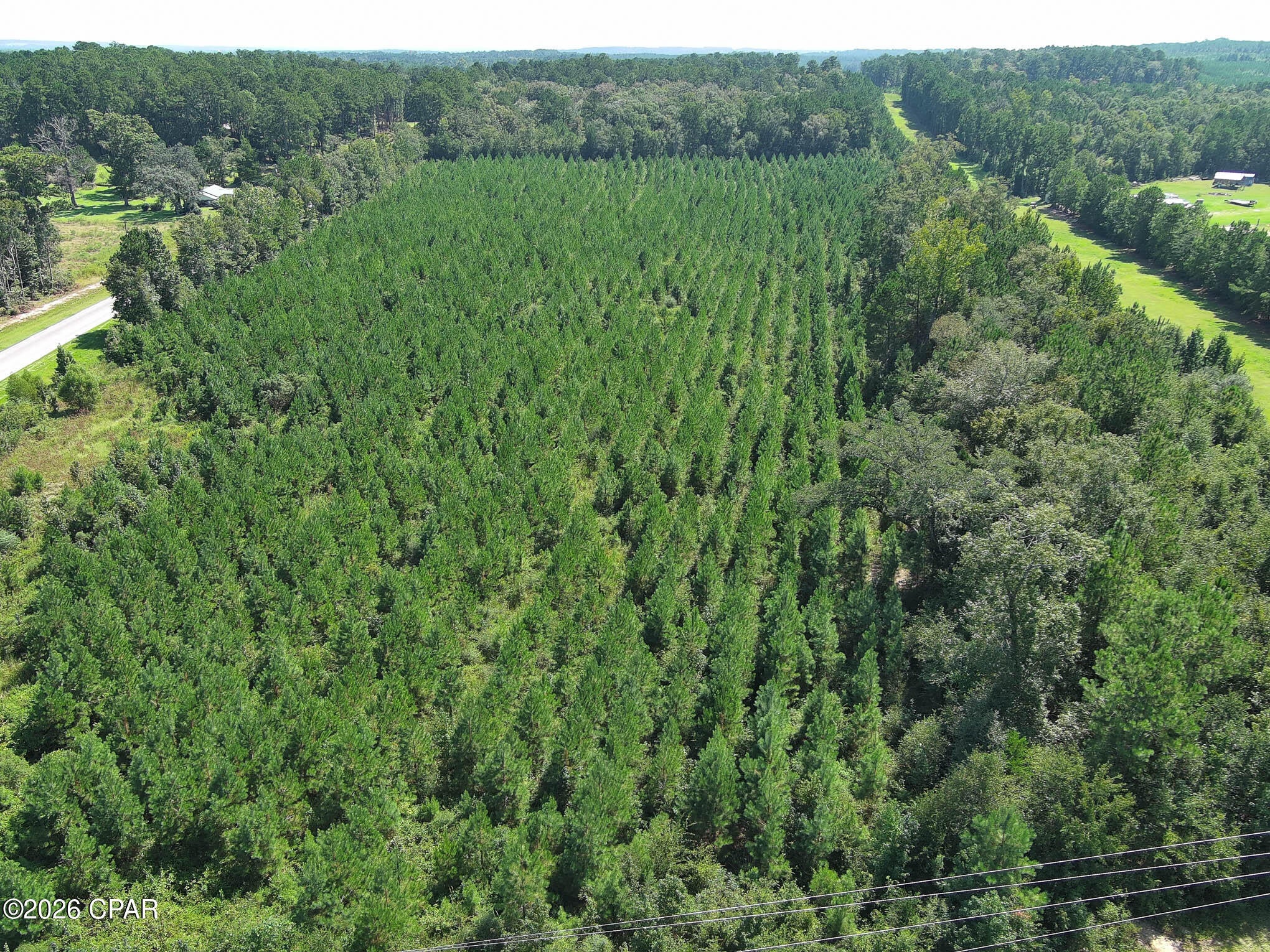 TBD Pioneer Road