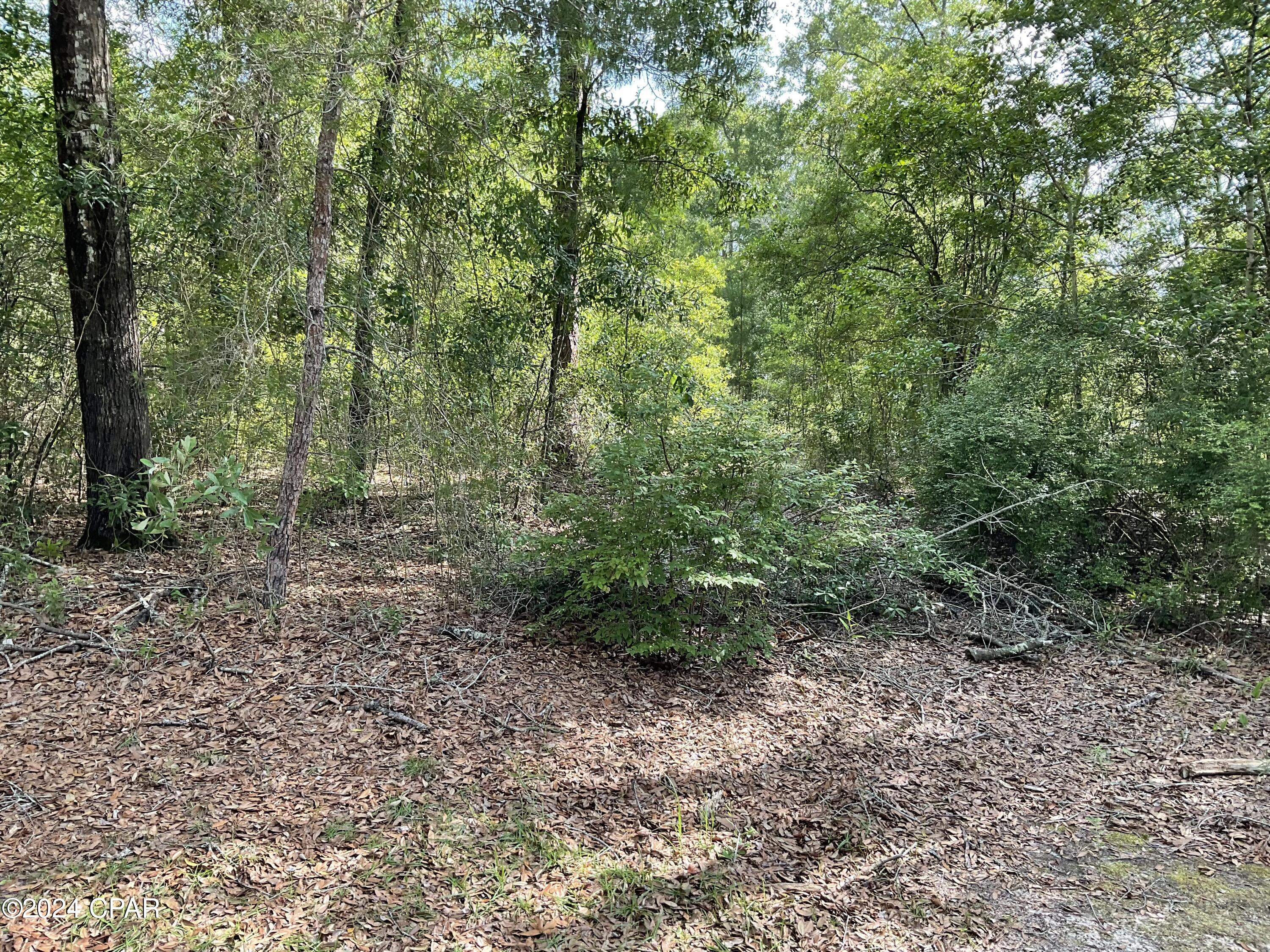 Leisure Lakes 1st Add - Land